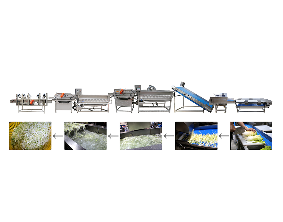  葉菜加工生產線